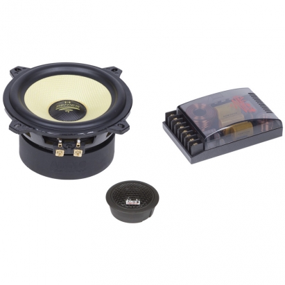 Audio system R100. ����������� �������������� R100.